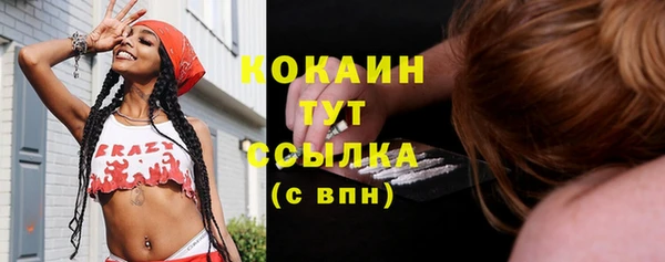 дмт Абинск