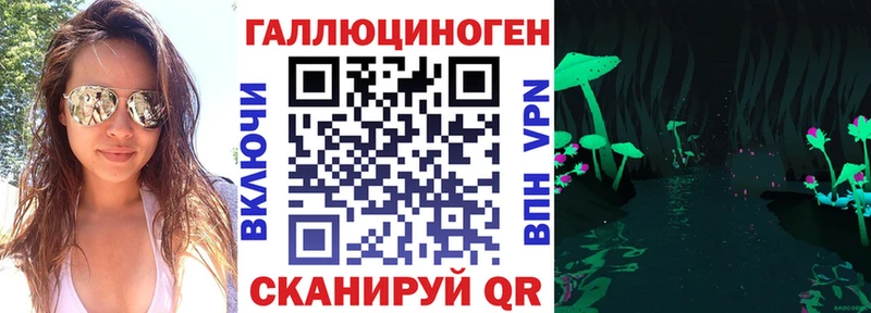ссылка на мегу онион  где можно купить   Каргополь  Галлюциногенные грибы Psilocybe 